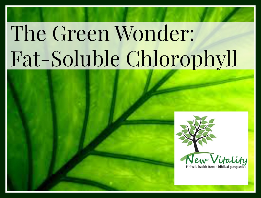 green leaf chlorophyll